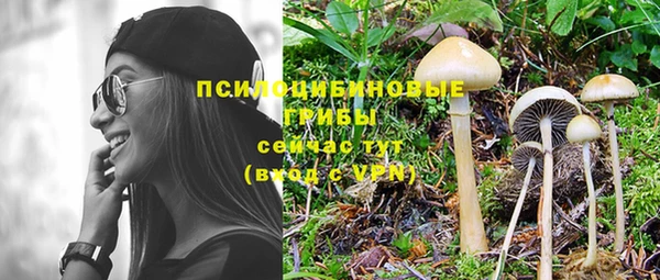 PSILOCYBIN Абинск