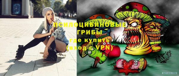 PSILOCYBIN Абинск