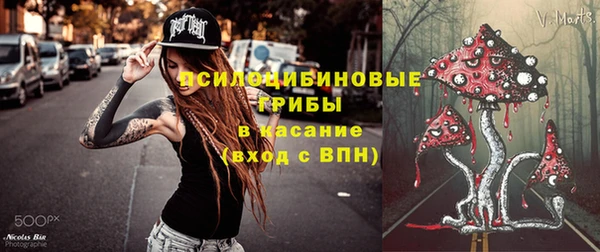 PSILOCYBIN Абинск
