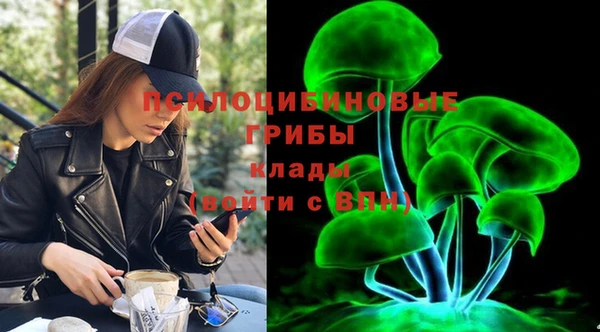 PSILOCYBIN Абинск
