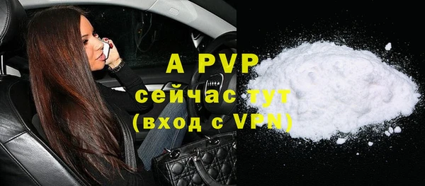 apvp Алзамай