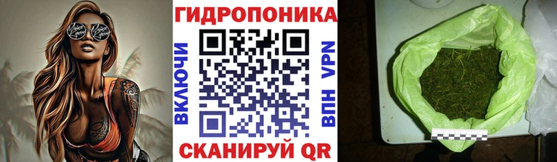 Бошки марихуана семена  нарко площадка официальный сайт  Кандалакша 